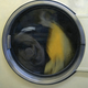 Illustration for article titled Scary creatures are hiding inside our washing machines